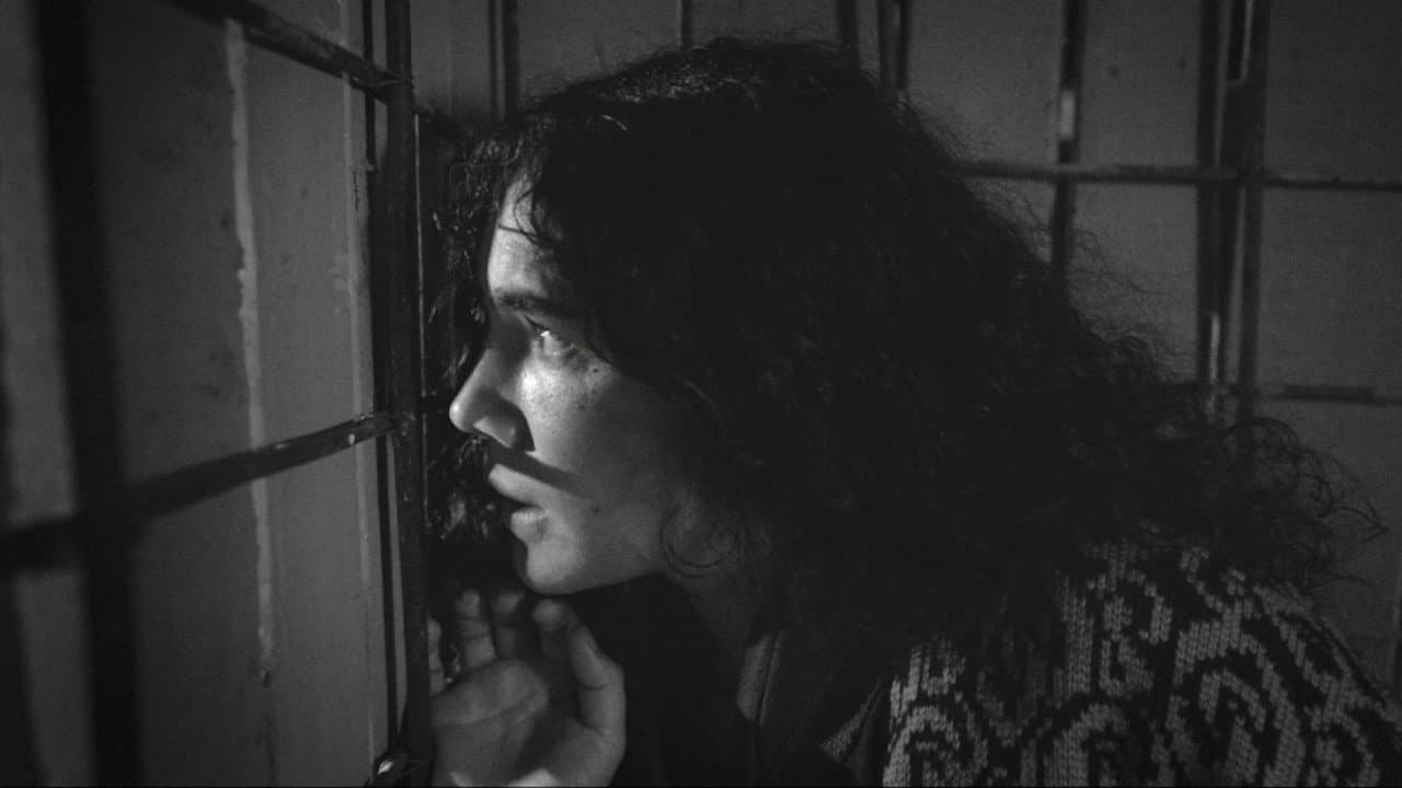 Night of Blindness
