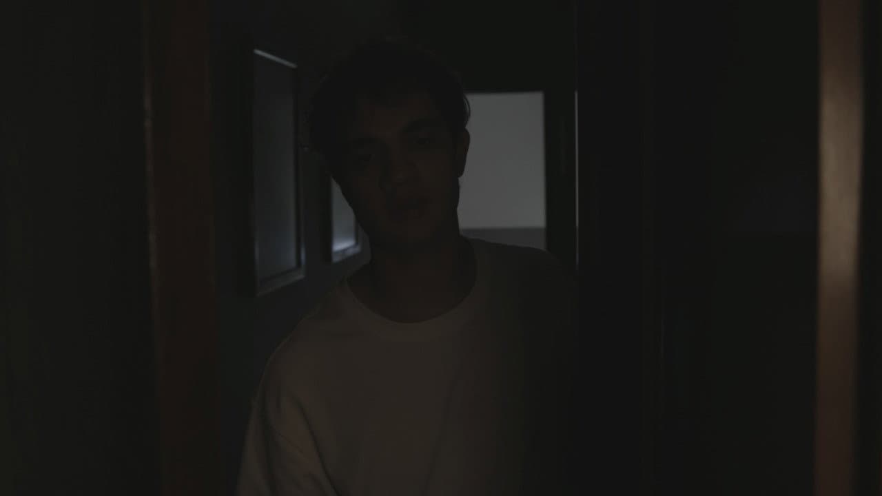 HOLÍSTICO