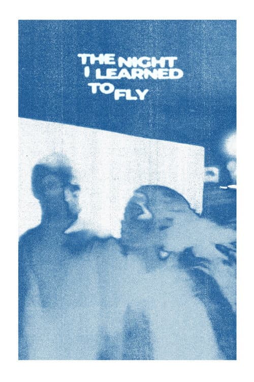 The Night I Learned To Fly
