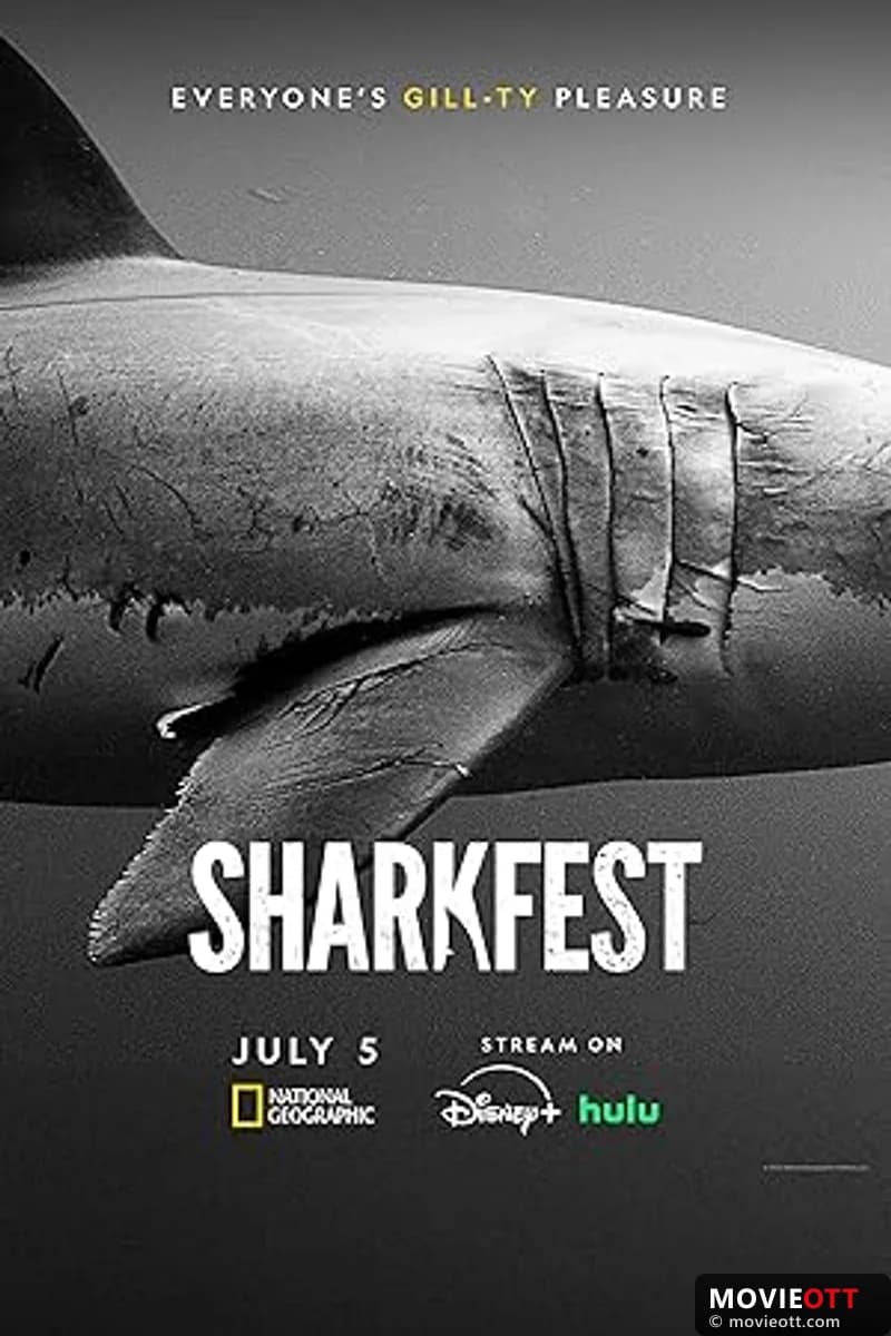 Sharks of the North: A Deep Dive into Atlantic Canada’s Great Whites