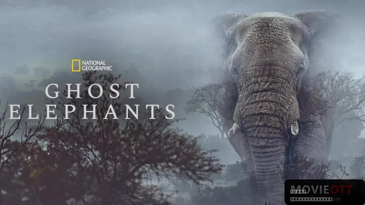 Ghost Elephants
