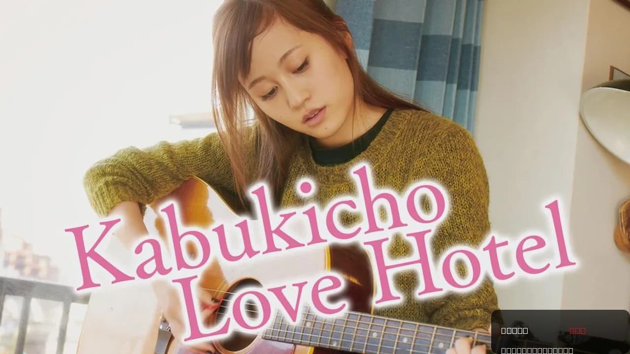 Kabukicho Love Hotel