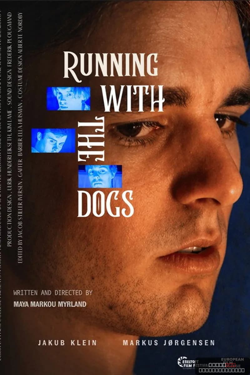 Running With The Dogs