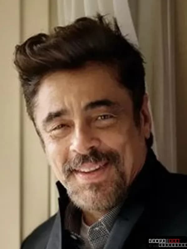 Benicio del Toro