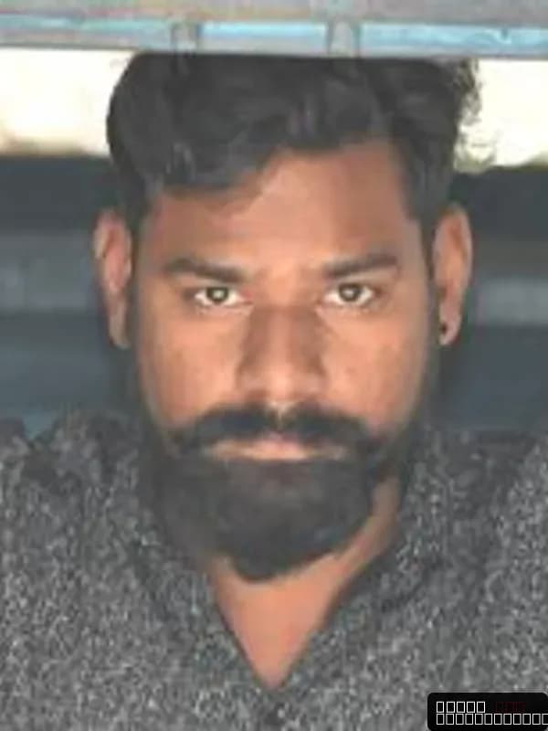 bunny abiran