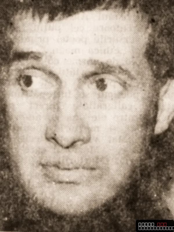 Mircea Dinescu