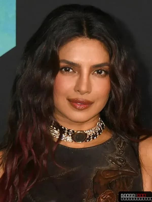 Priyanka Chopra Jonas