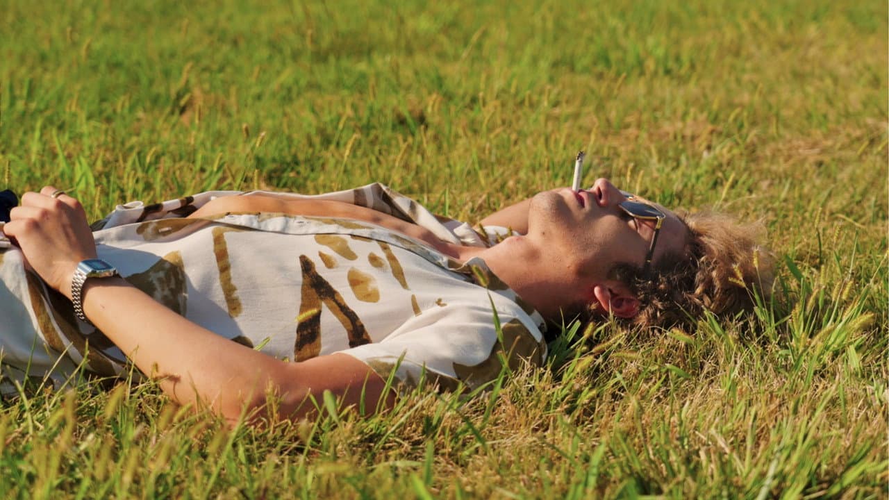 'Mr. Paradise'