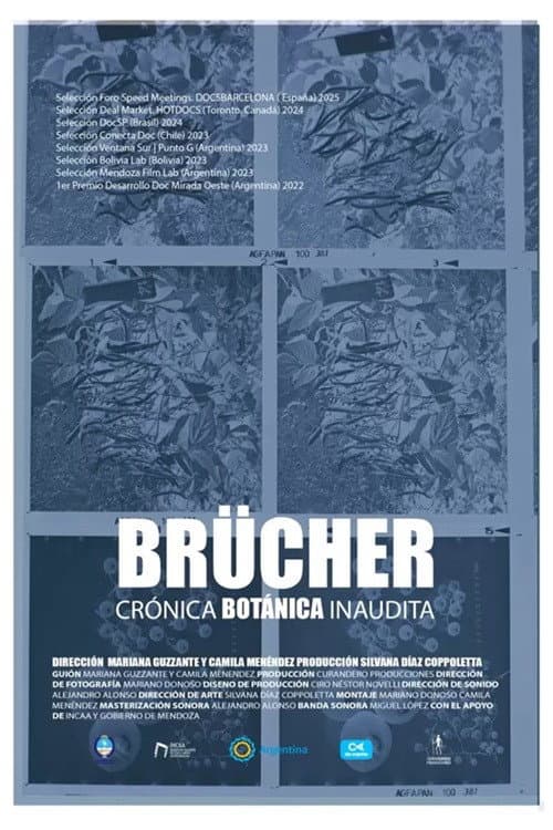 Brücher, Crónica Botánica Inaudita