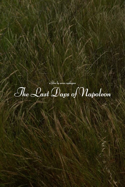 The Last Days of Napoléon