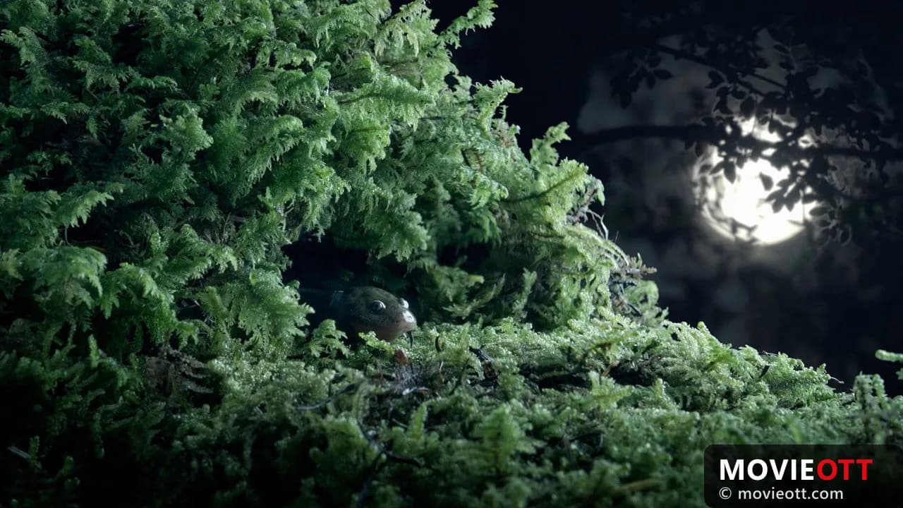 Bätsi. El ajolote y su reflejo