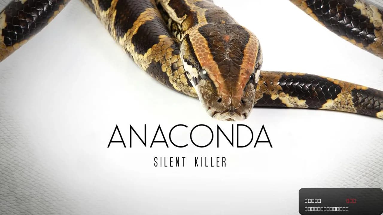 Anaconda: Silent Killer