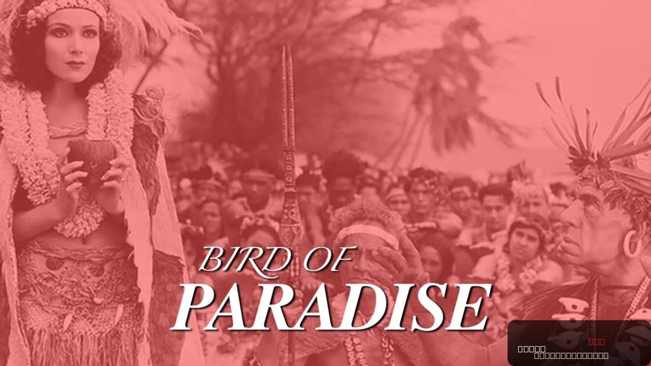 Bird of Paradise