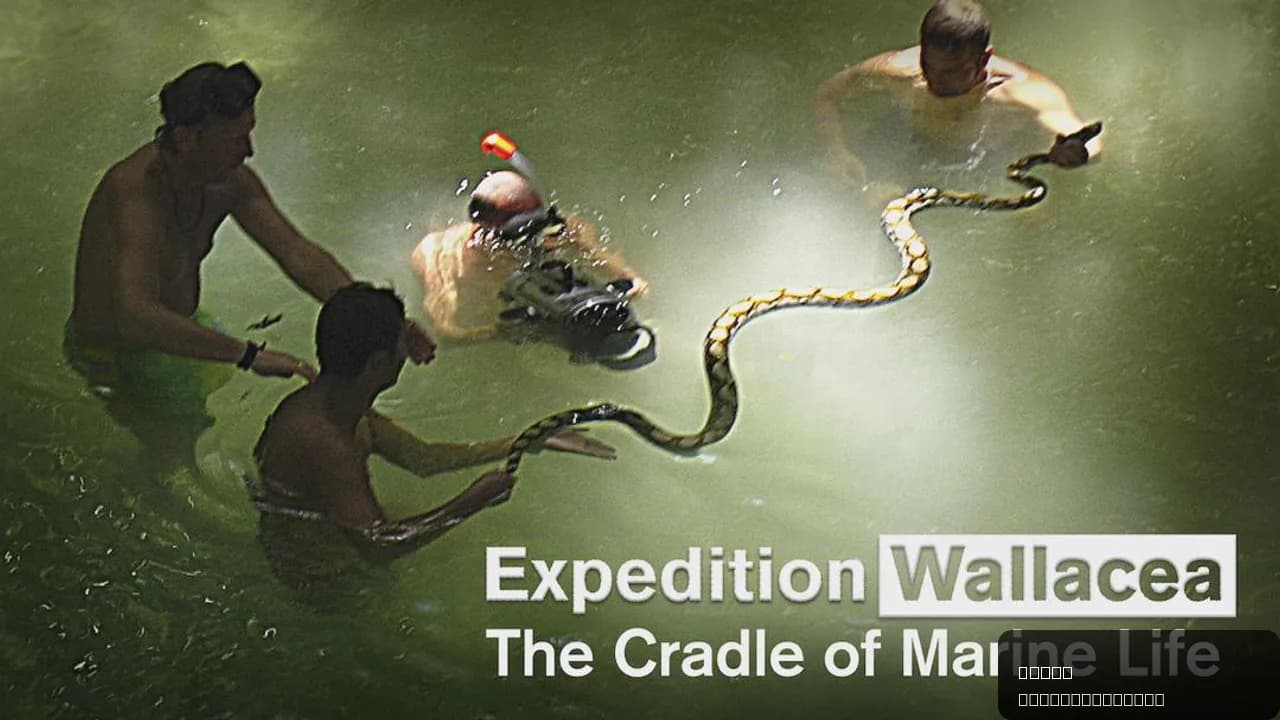 Expedition Wallacea – The Cradle of Marine Life