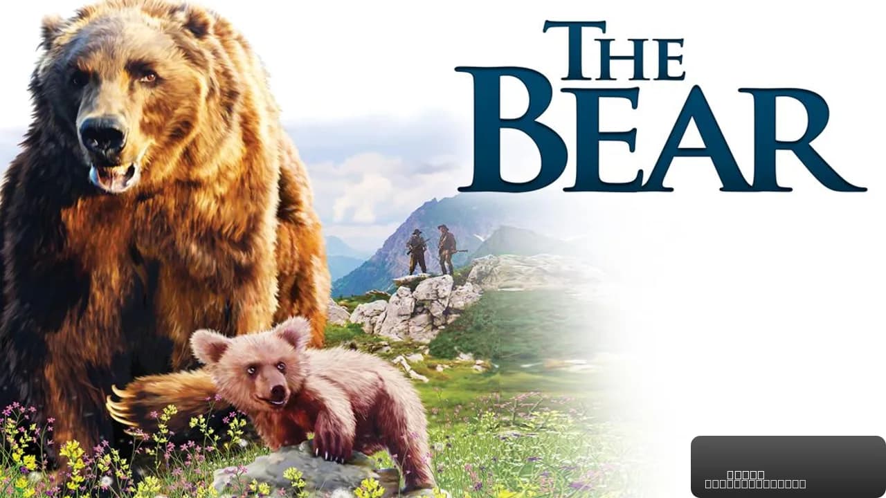 The Bear