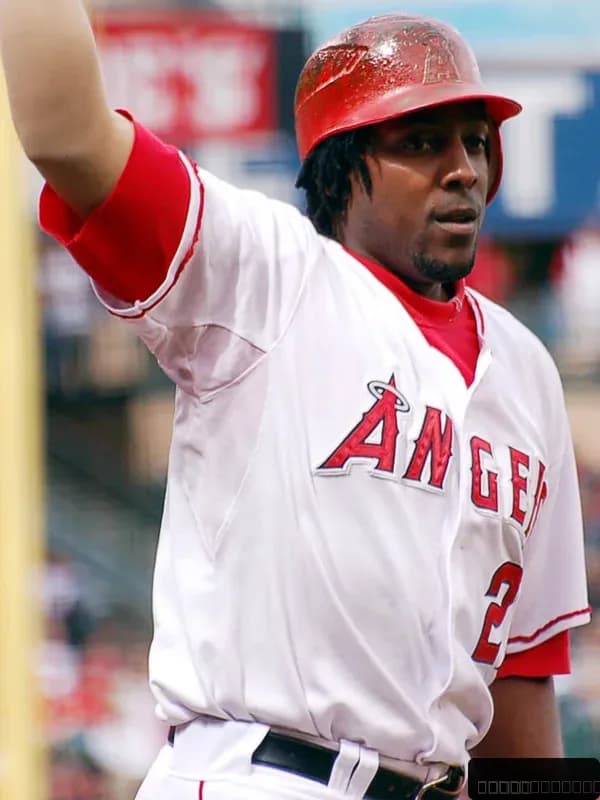 Vladimir Guerrero